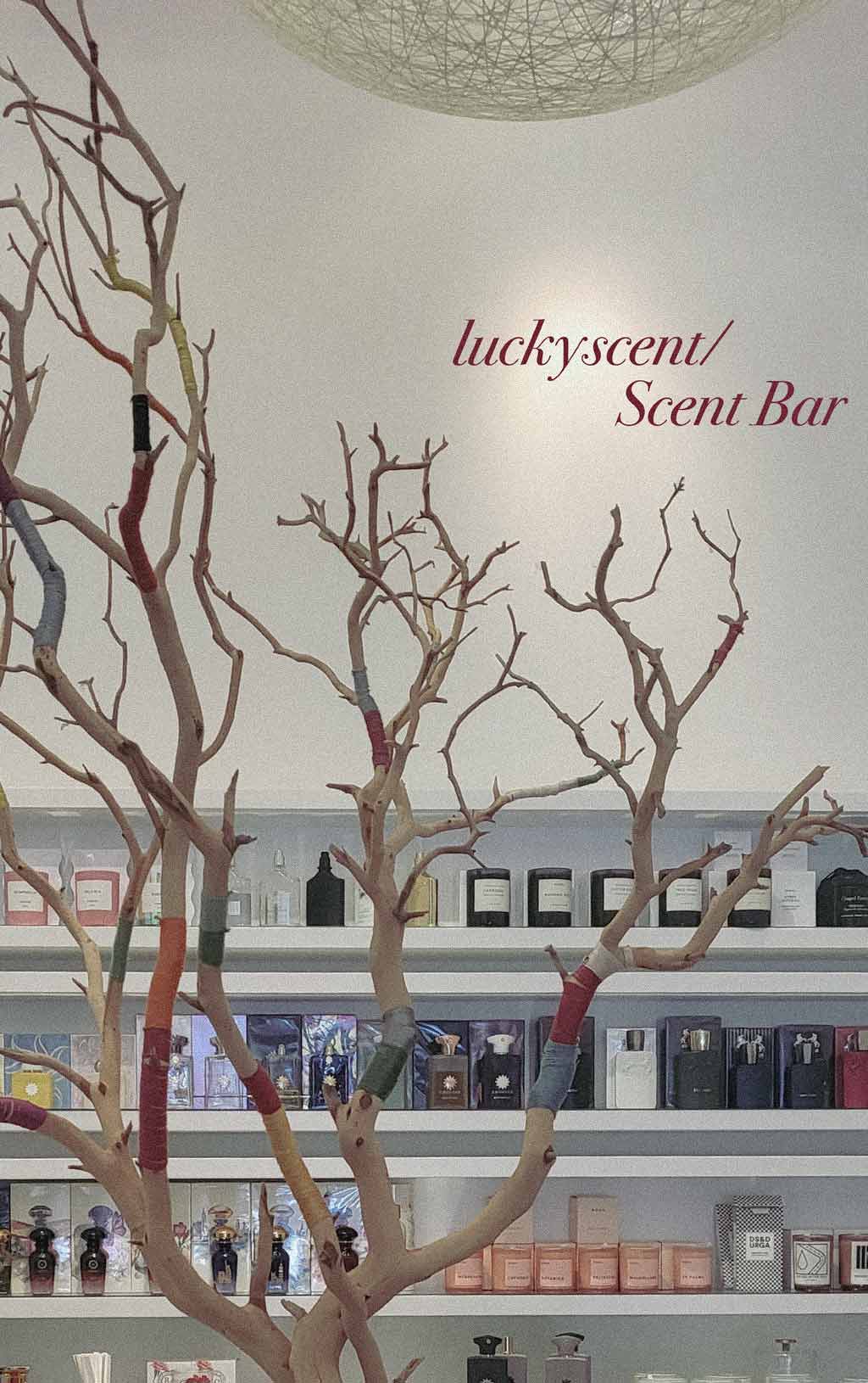 未使用 イマジナル ビヨンド フォーエバー 香水 Beyond Forever imgrc0122171279.jpg