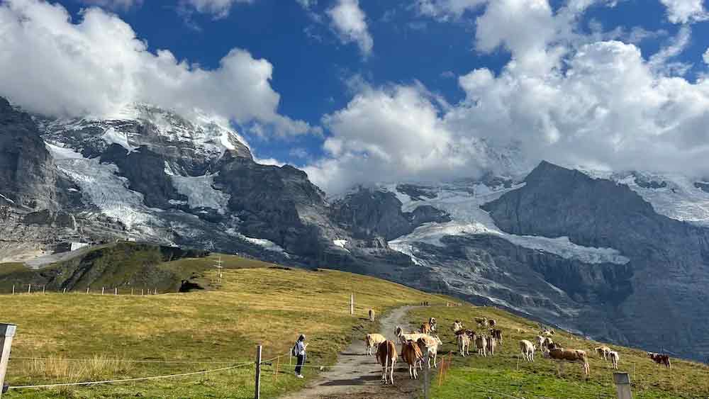 登山も、動画制作も…大好きなことを仕事にするためのポジティブ思考術【登山YouTuberかほ】