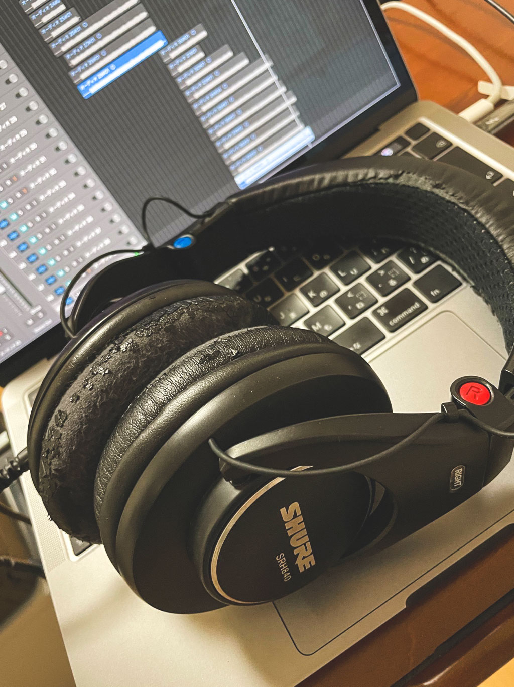 生活と孤独に寄り添うプレイリスト」dodo