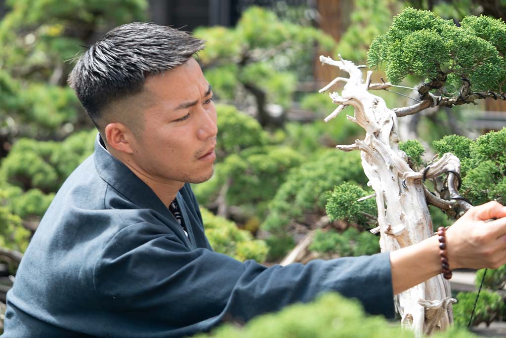 中学教師から盆栽作家へ。ホームセンターで出会った小さな盆栽が転機の